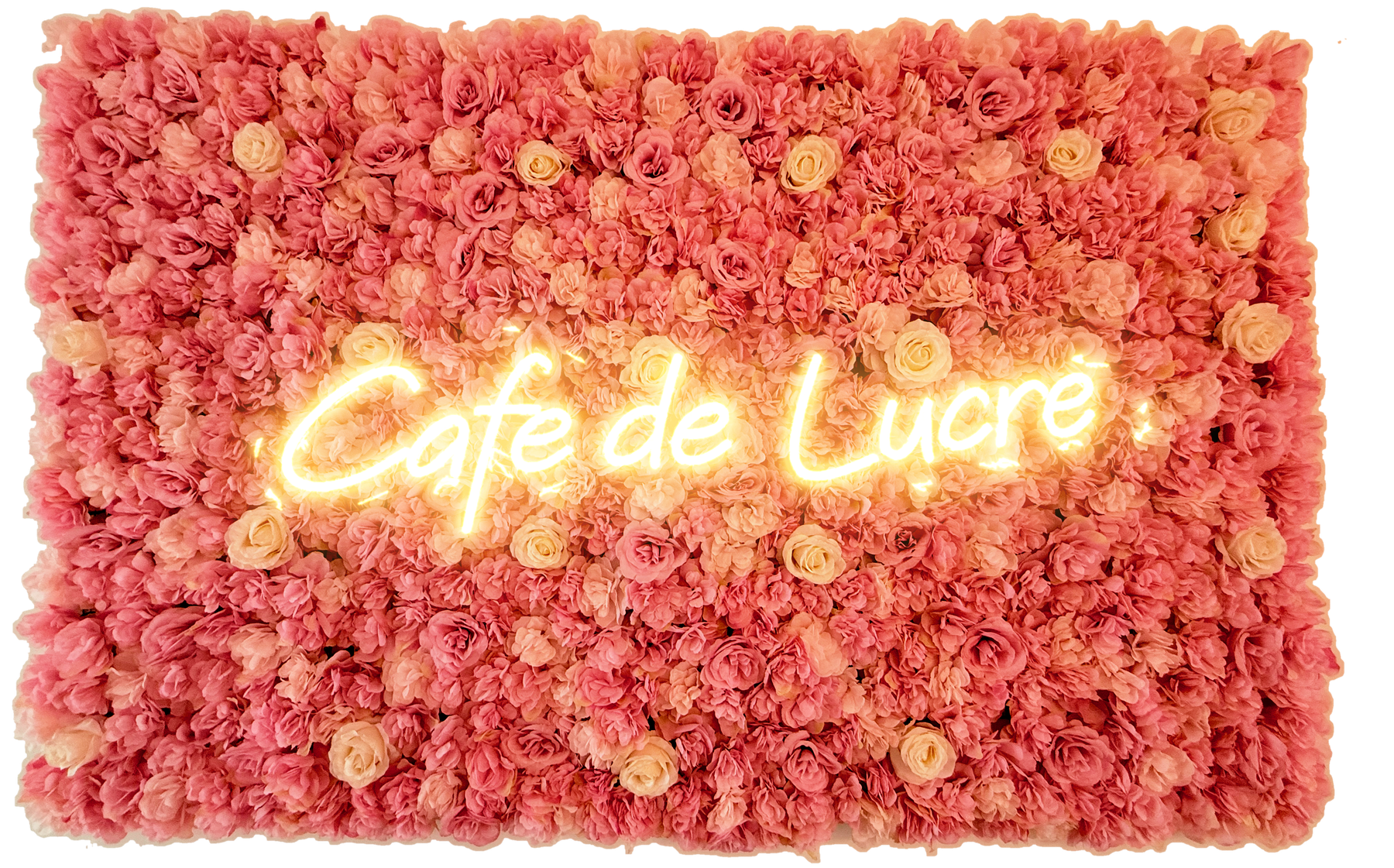 Café de Lucre